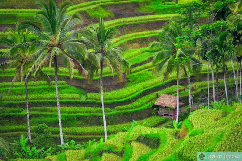 bali que visitar