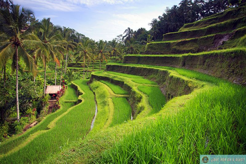 que ver en bali en 5 dias
